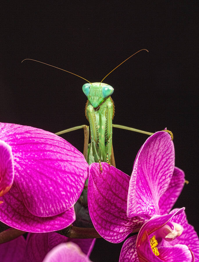 photographer GMac wildlife  photo