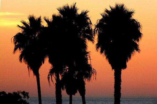 photographer Bitten by the Bug travel  photo