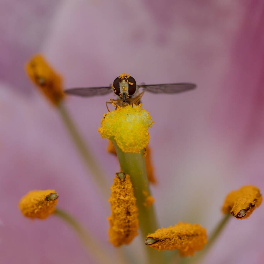 photographer The Opportunist uncategorized modelling photo