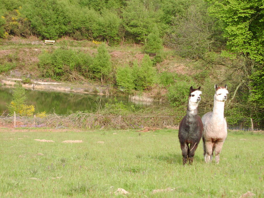 photographer Rosewood  Pix landscape  photo