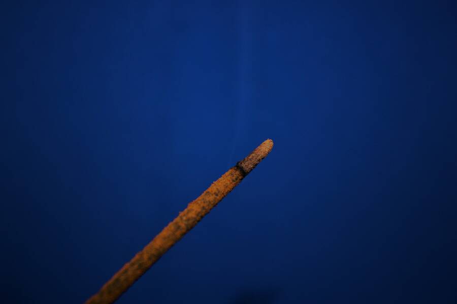 photographer Vertor macro  photo taken at Home