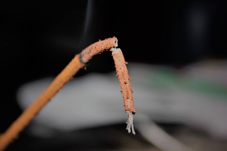 photographer Vertor macro  photo taken at Home