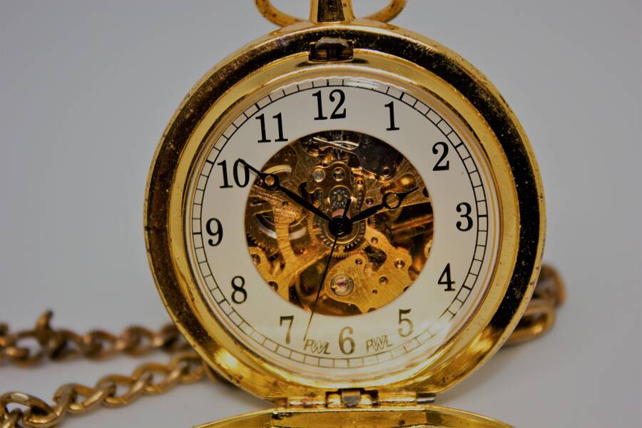 photographer Vertor macro  photo taken at Home