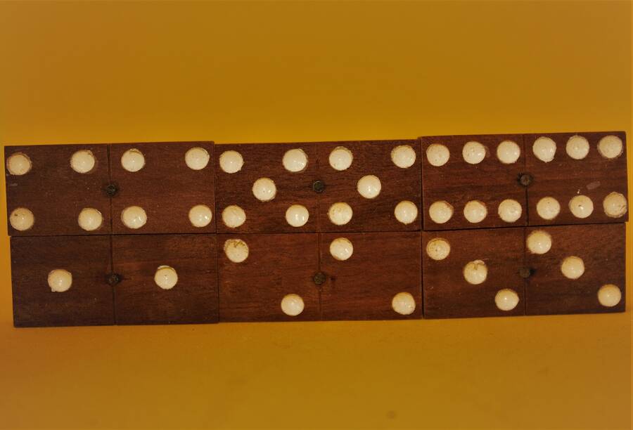 photographer Vertor macro  photo taken at Home