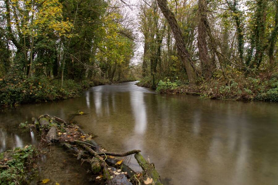 photographer Mark landscape  photo