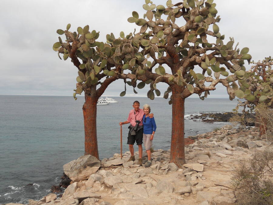 photographer Rosewood  Pix landscape  photo