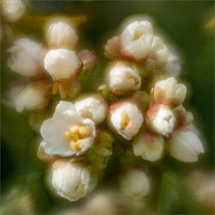 photographer DaveB315 fine art  photo