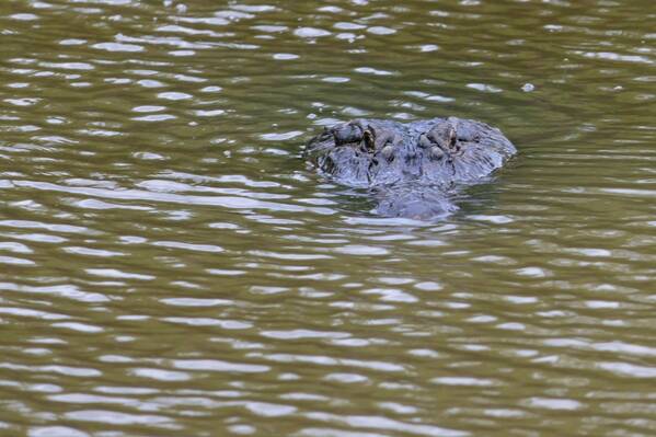 photographer Bitten by the Bug wildlife  photo