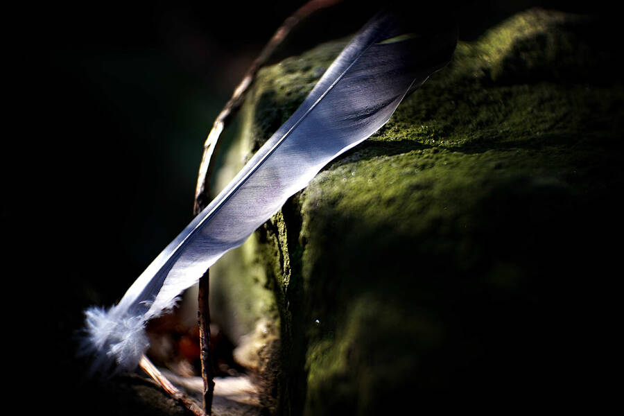 photographer johnj uncategorized  photo