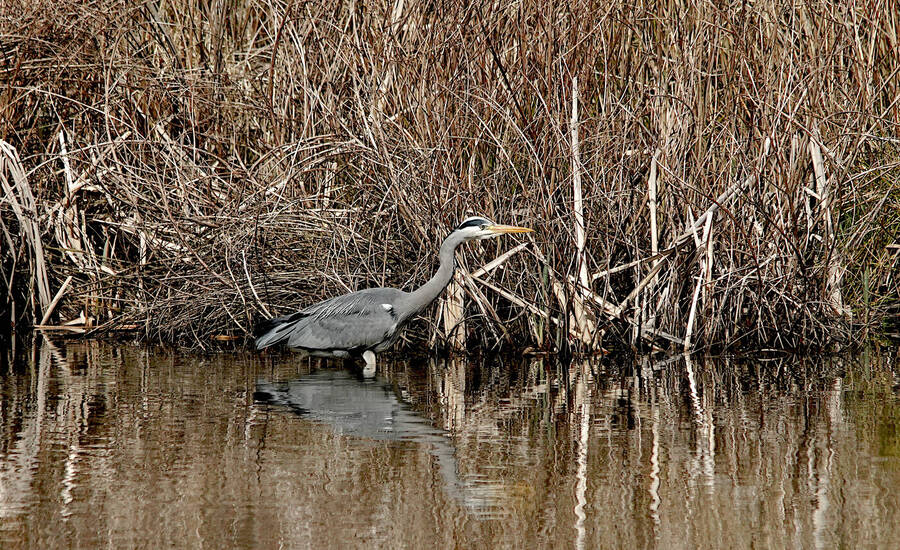 photographer johnj uncategorized  photo