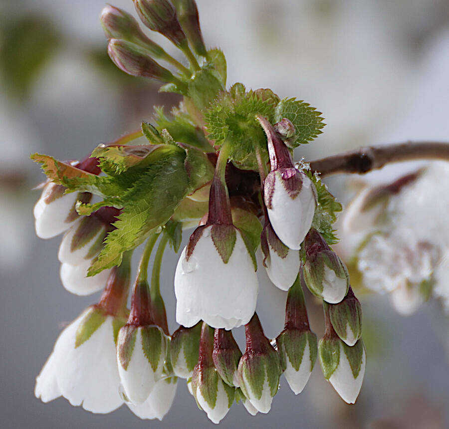 photographer johnj uncategorized  photo