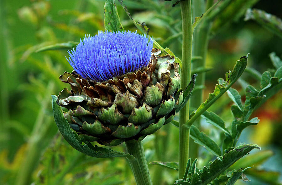 photographer johnj uncategorized  photo