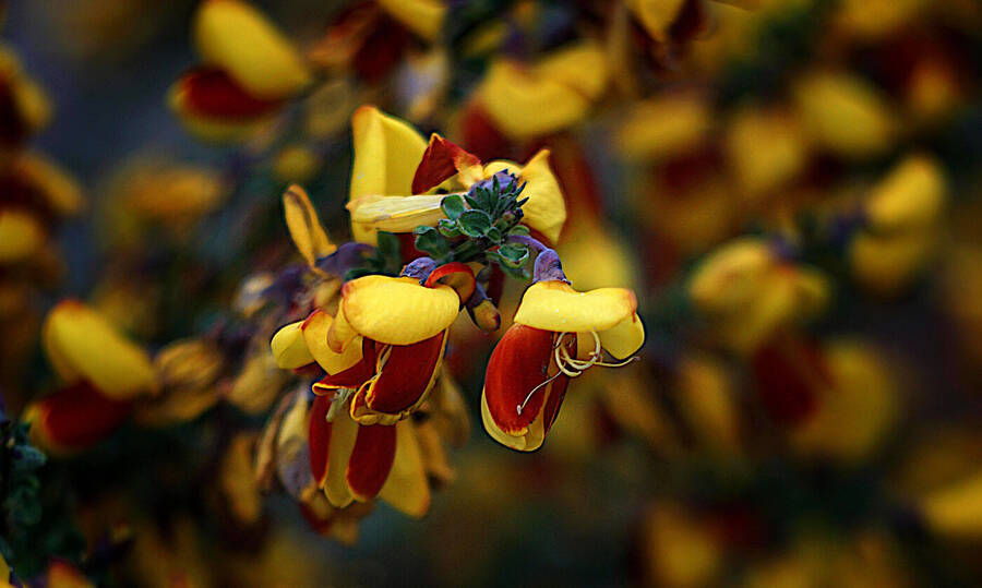 photographer johnj uncategorized  photo