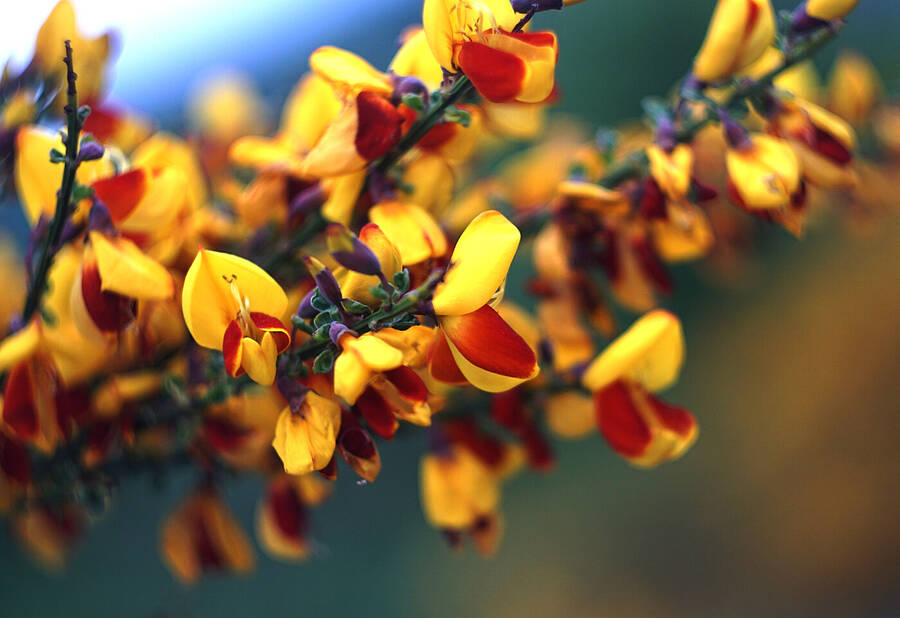 photographer johnj uncategorized  photo