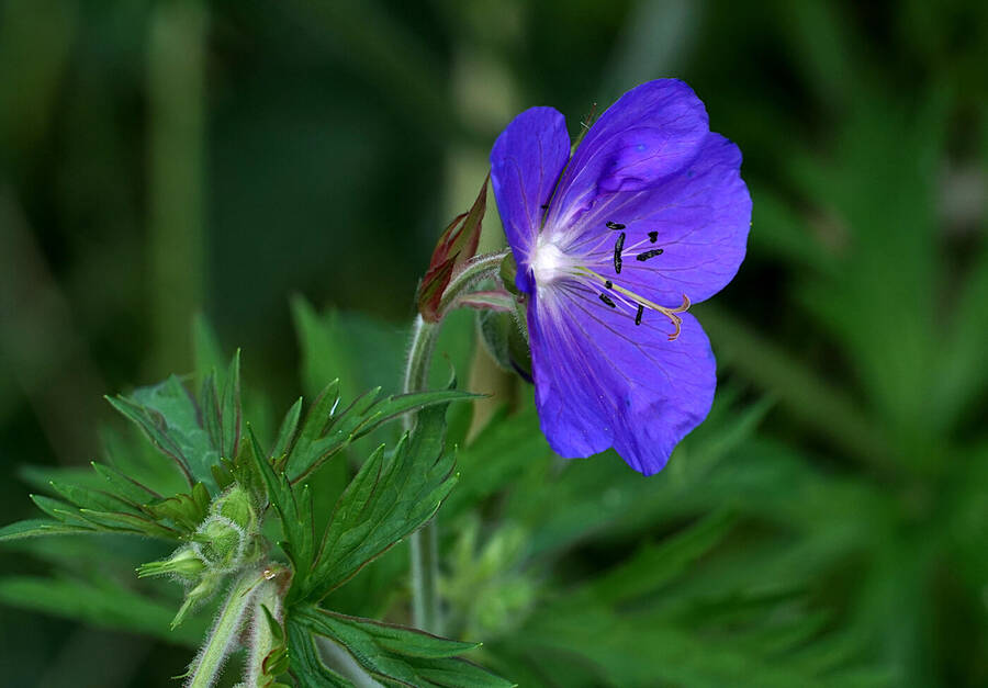 photographer johnj uncategorized  photo