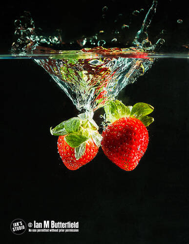 photographer ianbutty still life  photo taken at Ian's Studio Stockport