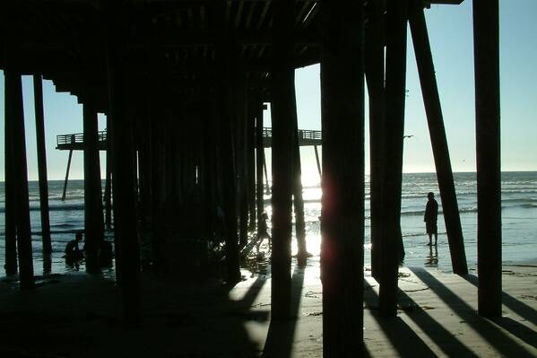 photographer Bitten by the Bug travel  photo