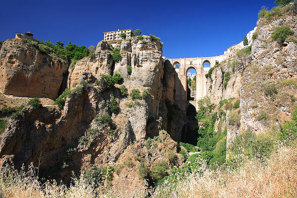 photographer KIboko uncategorized  photo