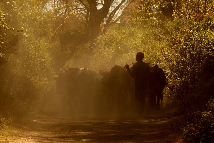 photographer KIboko documentary  photo