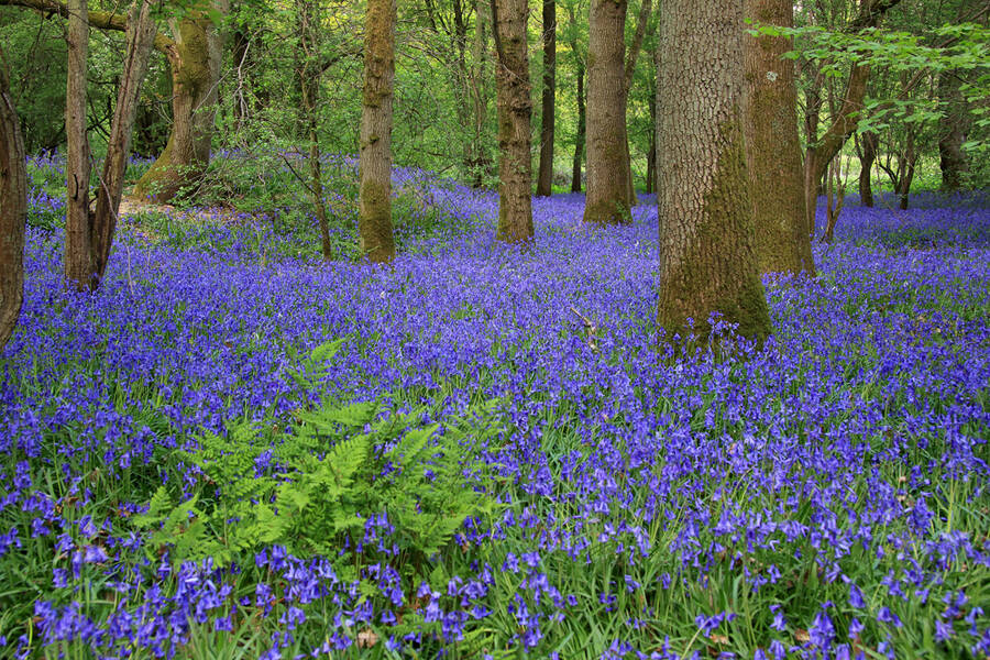 photographer KIboko landscape  photo