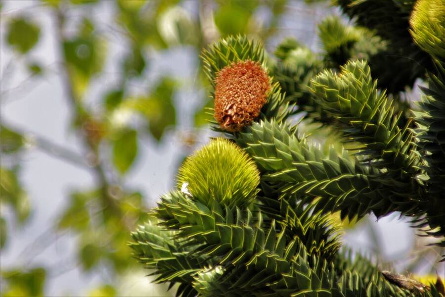 photographer Vertor landscape  photo taken at Beckton Park London