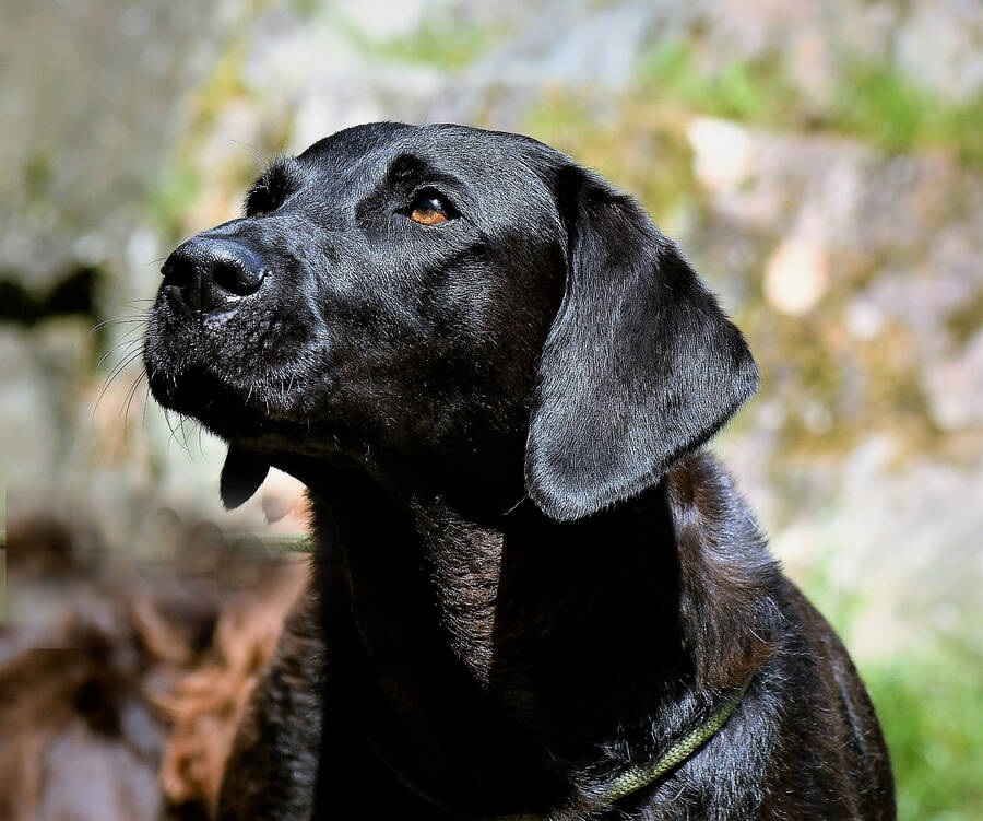 photographer JFC Images uncategorized  photo