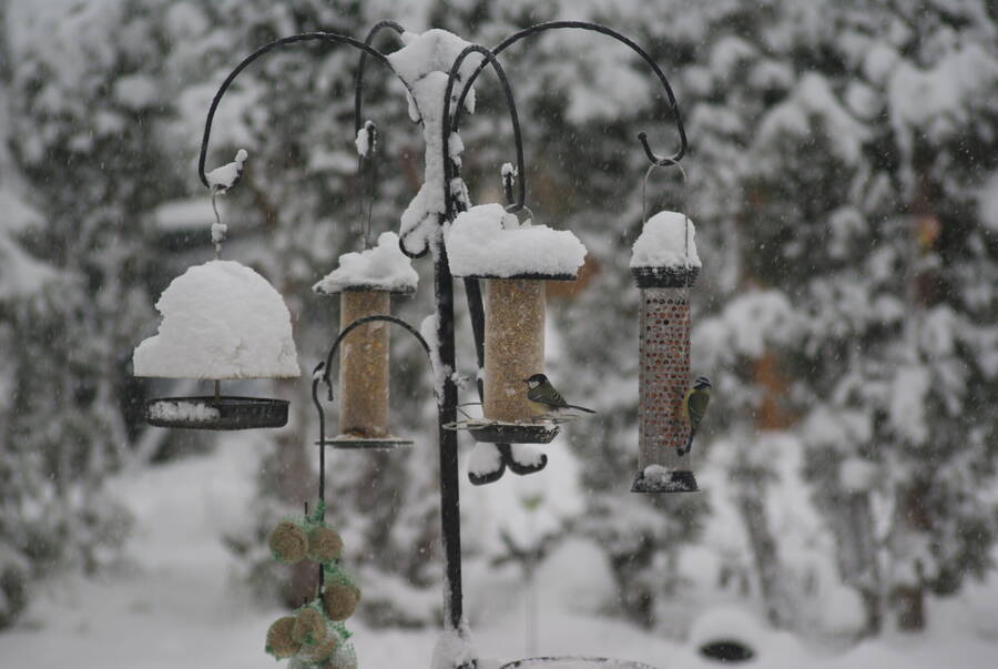 photographer Padawan1 uncategorized  photo