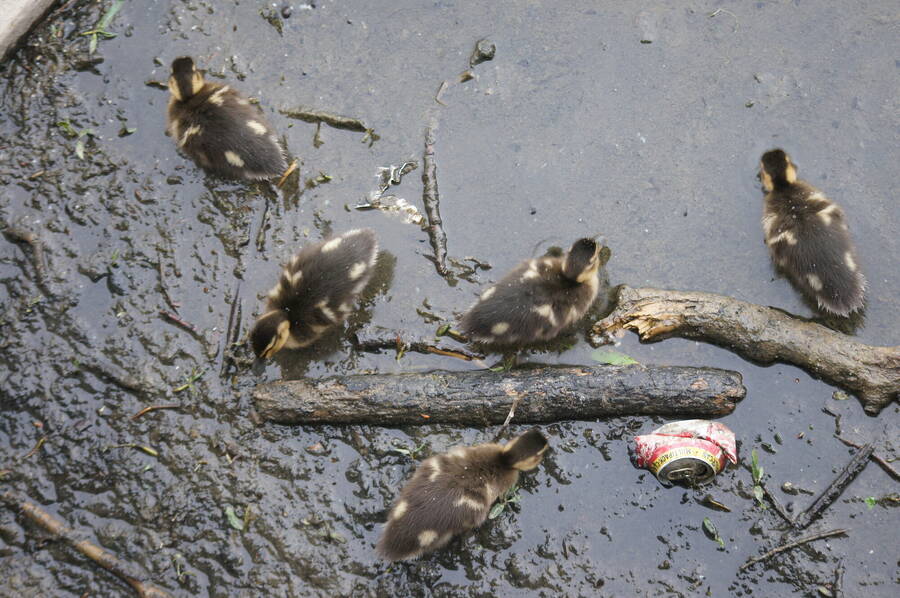 photographer Padawan1 uncategorized  photo