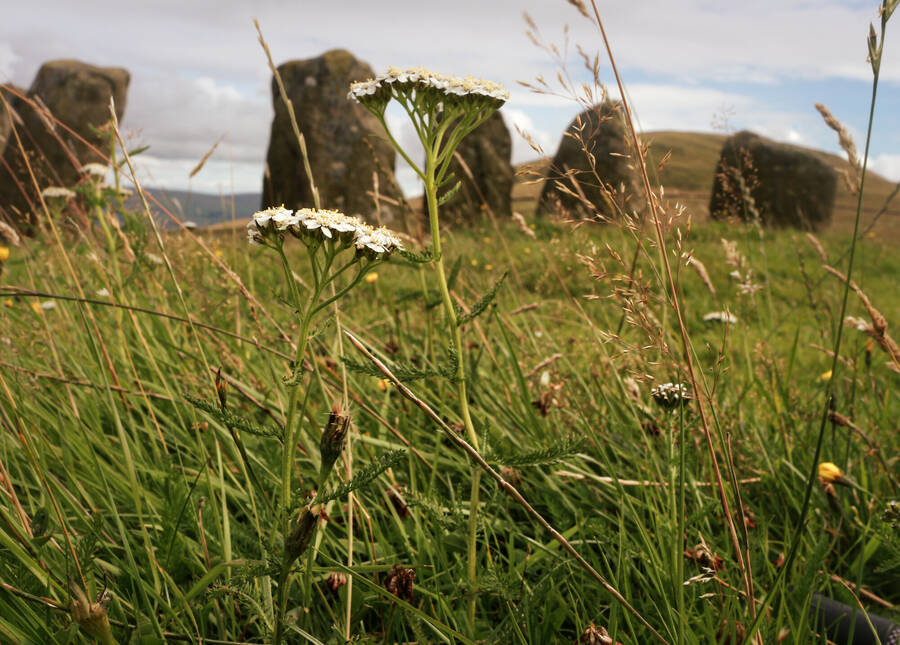 photographer Autofocus uncategorized  photo taken at Swinside, Cumbria