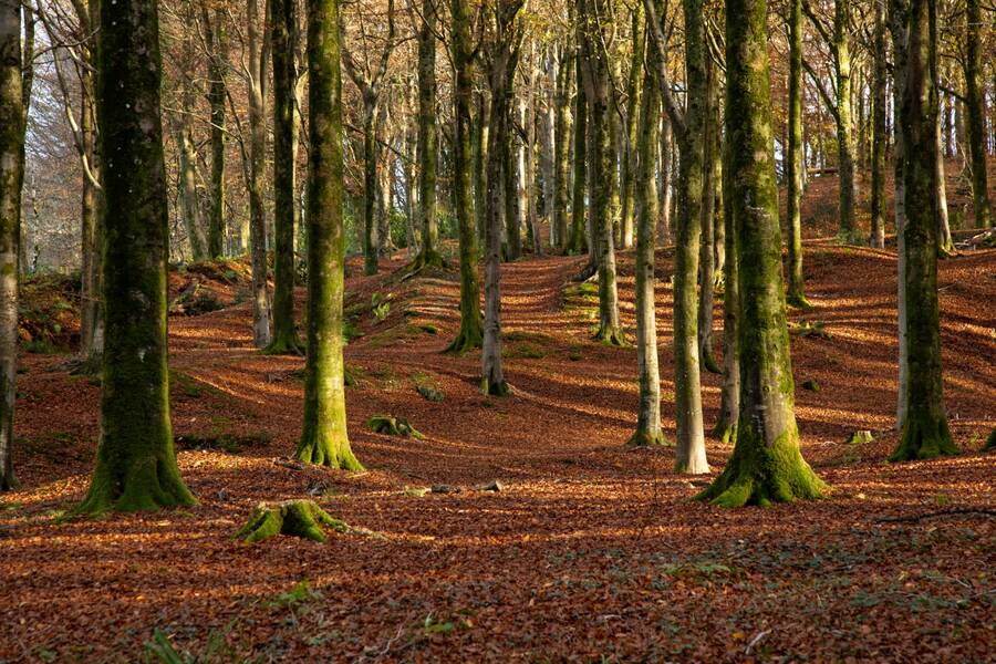 photographer Mark uncategorized  photo