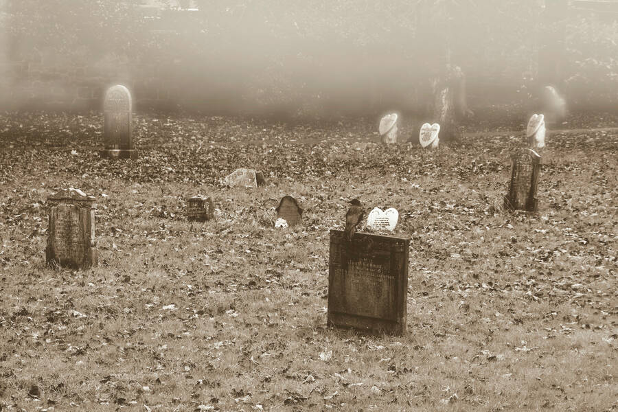 photographer dntphotographs still life  photo