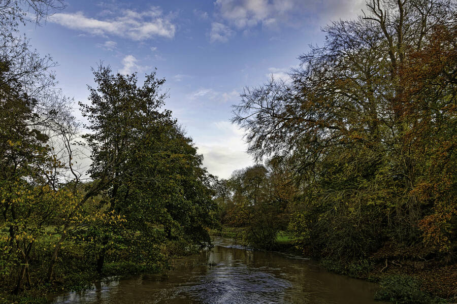 photographer dntphotographs autumn  photo