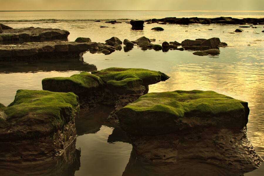 photographer Mark landscape  photo