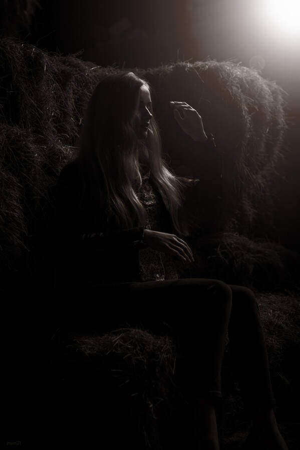 photographer Mojo El Mundo uncategorized  photo