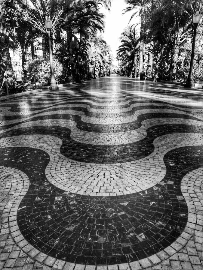 photographer CameraKitch uncategorized  photo