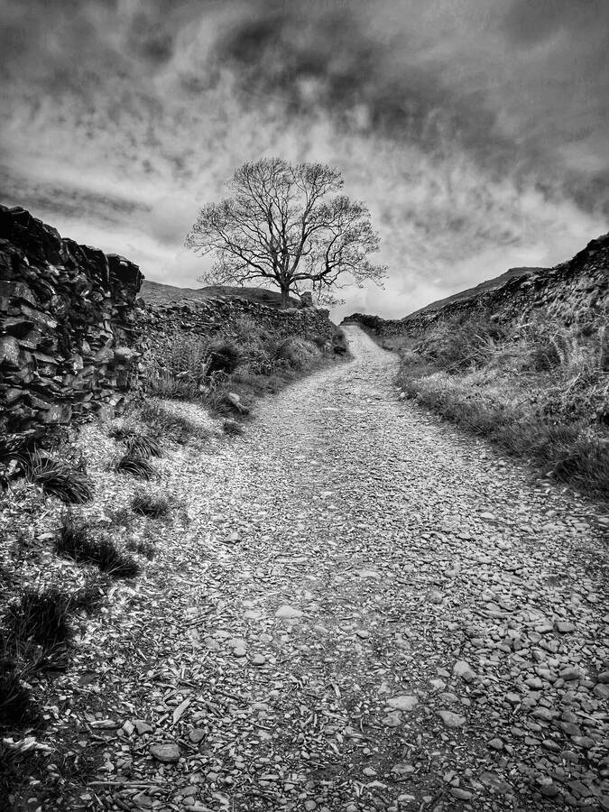 photographer CameraKitch uncategorized  photo