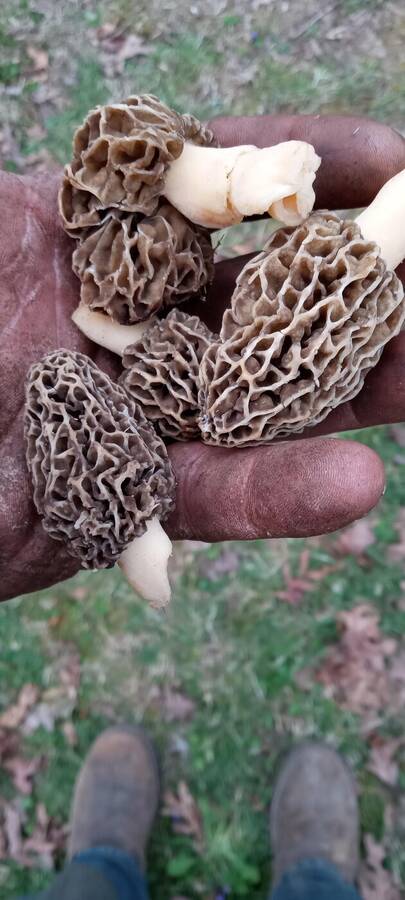 photographer Stiffy931 uncategorized  photo