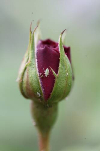 photographer Trev C landscape  photo