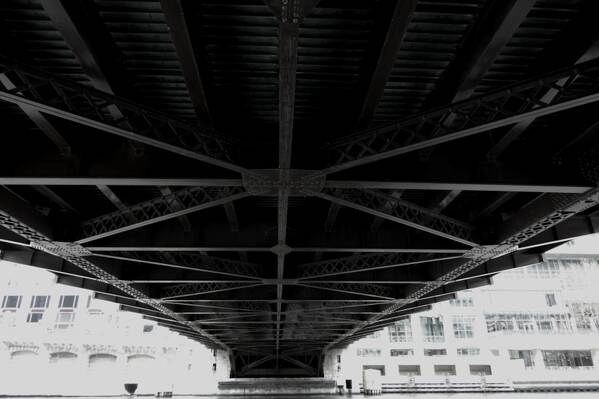 photographer Bitten by the Bug uncategorized  photo taken at Chicago, Illinois, USA