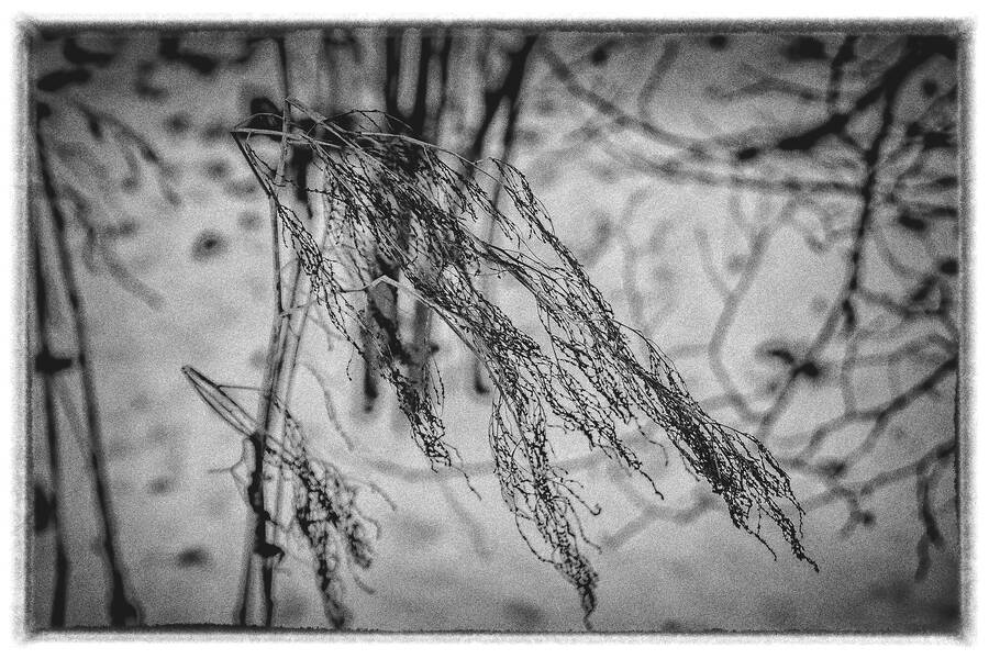 photographer Piggelin landscape  photo taken at Munkedal ,Sverige