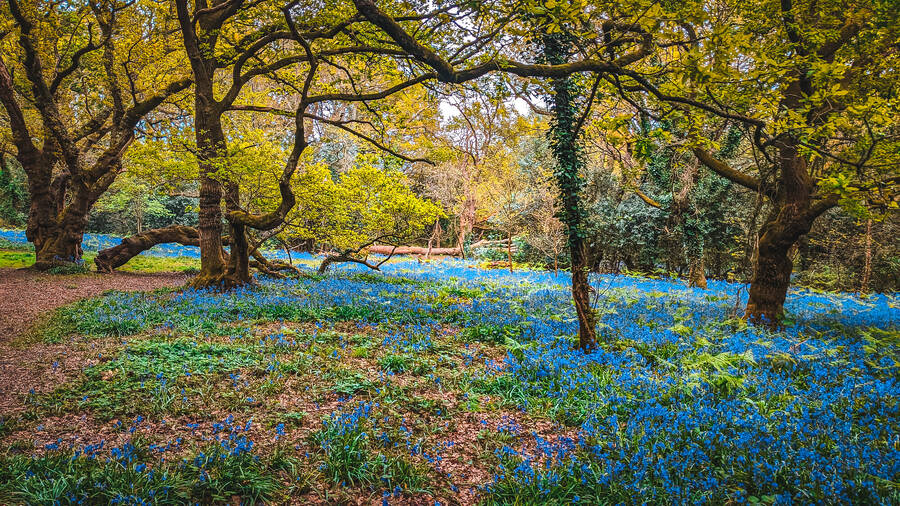 photographer Gabriel Burns landscape  photo