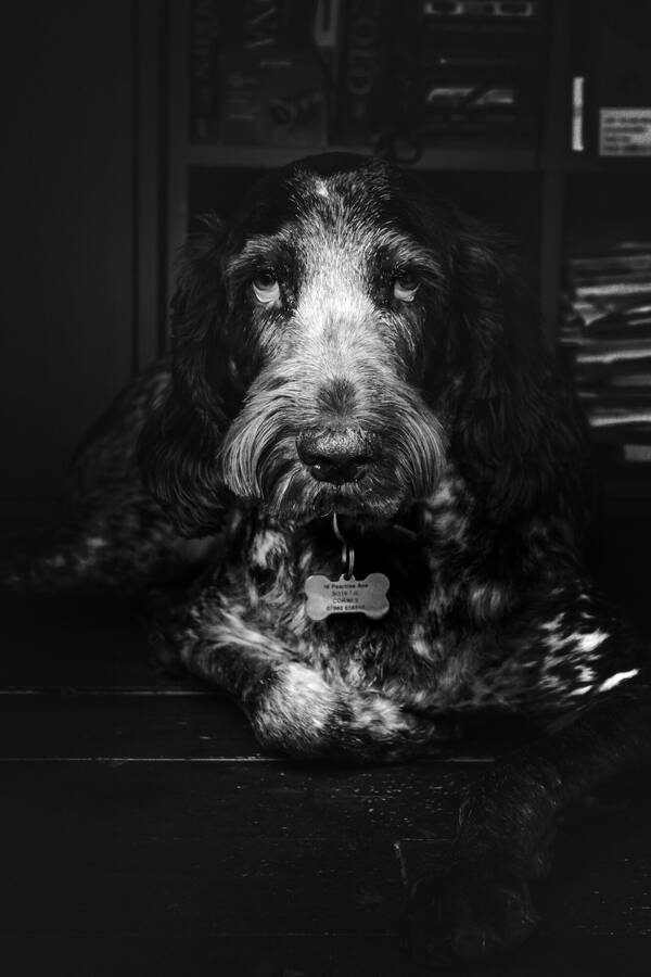 photographer Gabriel Burns portraiture  photo