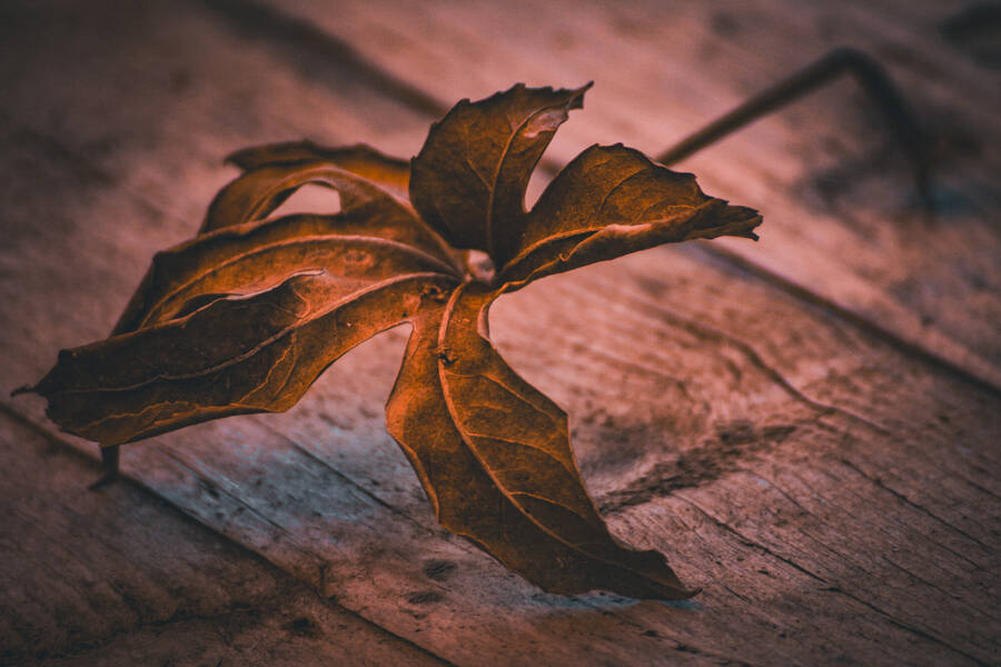 photographer Gabriel Burns fine art  photo