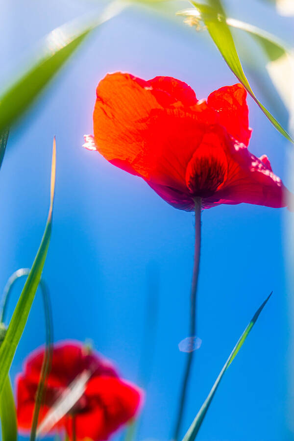 photographer Silky66 uncategorized  photo