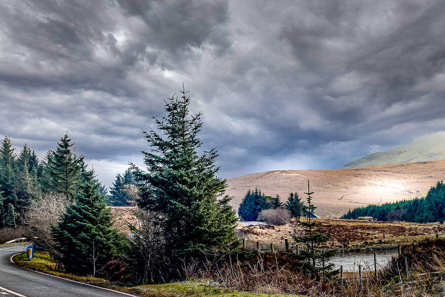 photographer Silky66 uncategorized  photo