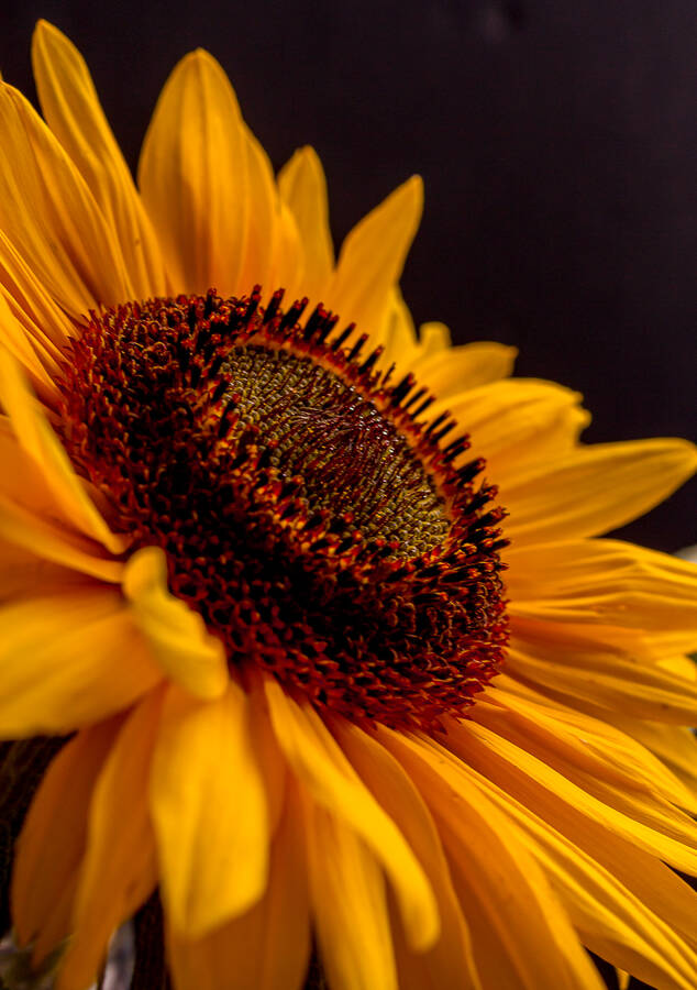 photographer Silky66 uncategorized  photo