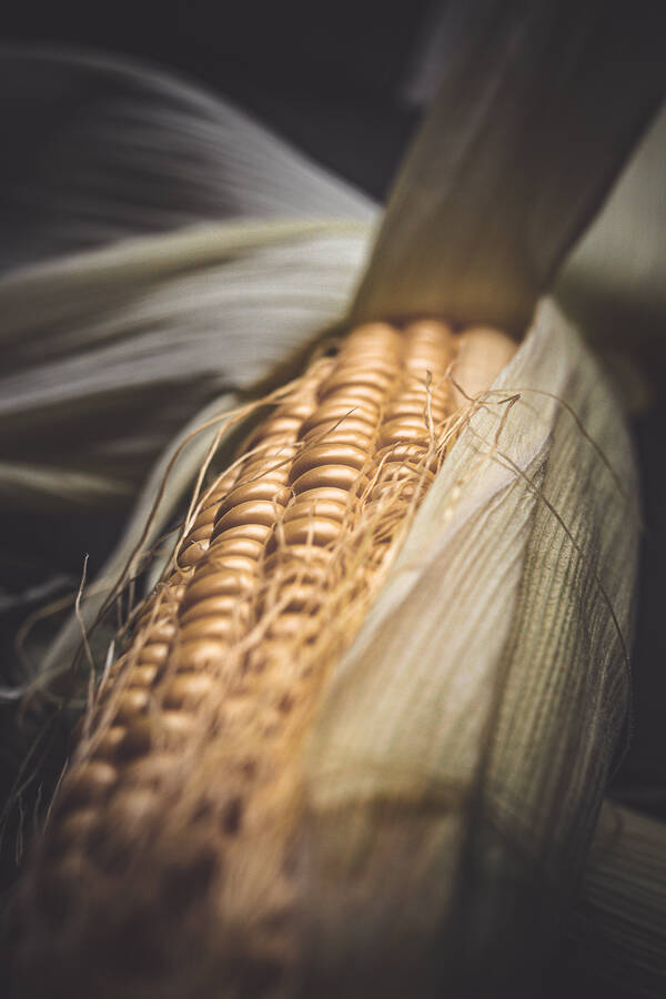 photographer Silky66 uncategorized  photo