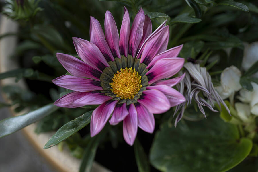 photographer Aspull photography uncategorized  photo