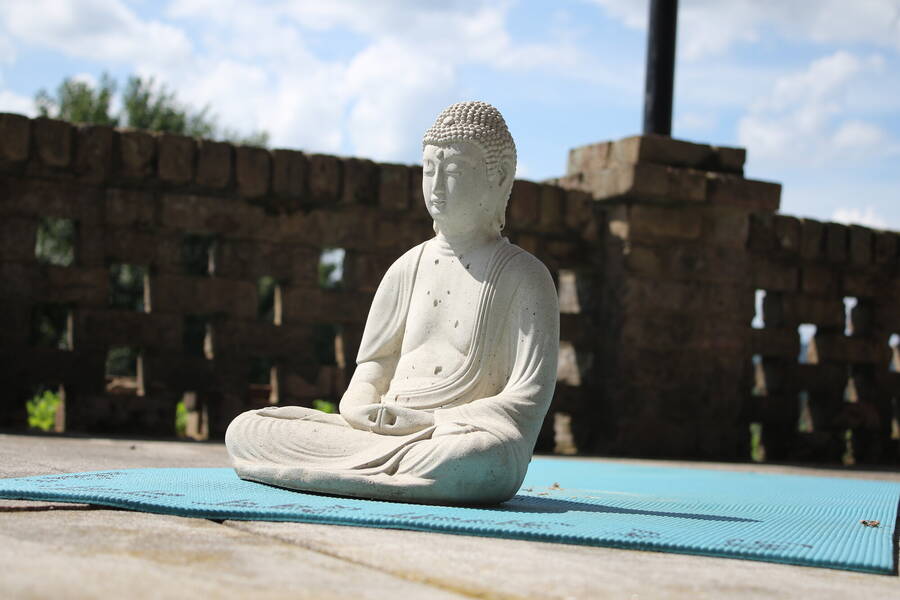 photographer spanishfly86 still life  photo taken at my patio