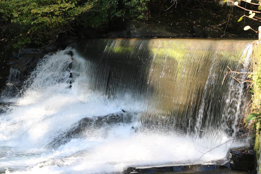 photographer Alres25 uncategorized  photo